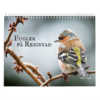 Fulger på Reigstad - Kalender 2021 Calendar