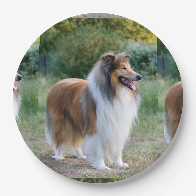 full 5 rough collie.png paper plate (Front)