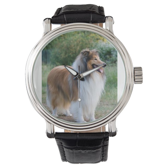 full 5 rough collie watch (Front)