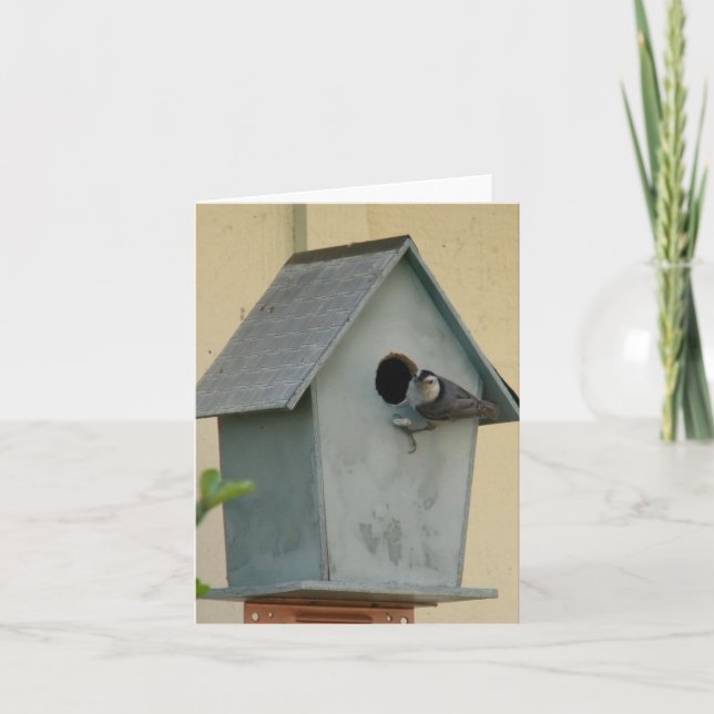 FULL BIRDHOUSE BLANK NOTECARD (Front)
