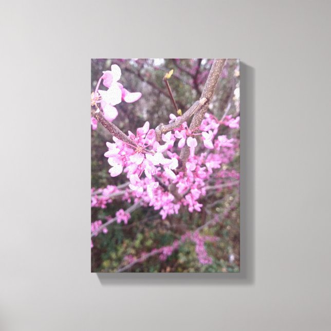 Full Bloom Canvas Print (Front)