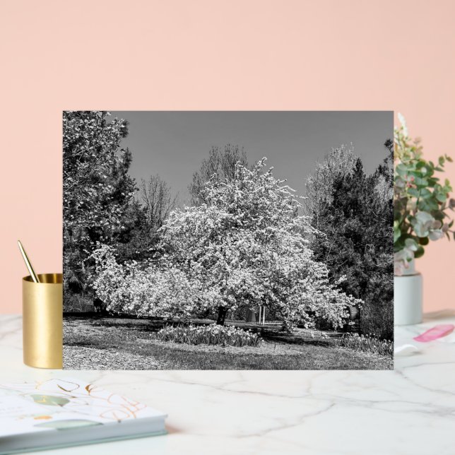 Full Bloom in Black and White Acrylic Sign (Wedding)