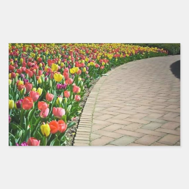 Full bloom tulip path - beautiful sticker (Front)
