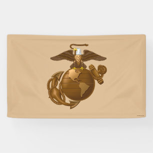 Full-Colour EGA - Bronze Banner