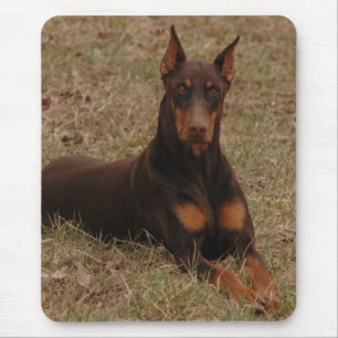 Full Colour Red and Rust Doberman Pinscher Mouse Mat