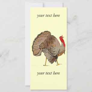 Full Colour Thanksgiving Turkey