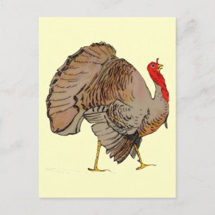Full Colour Thanksgiving Turkey Holiday Postcard