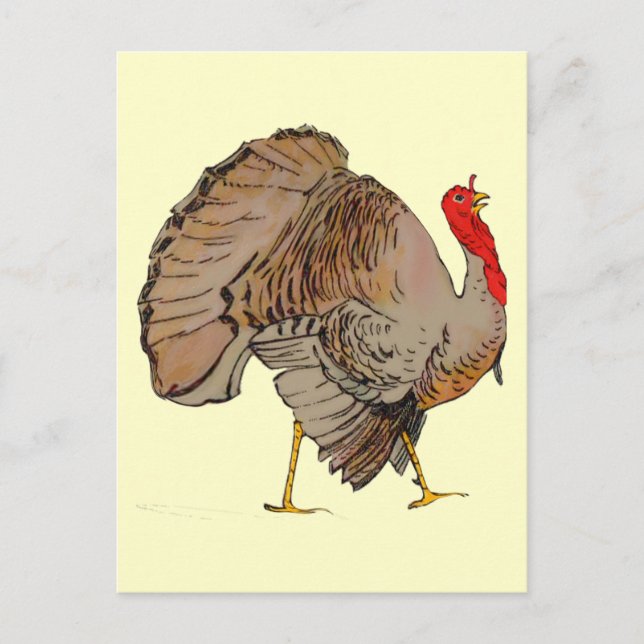Full Colour Thanksgiving Turkey Holiday Postcard (Front)