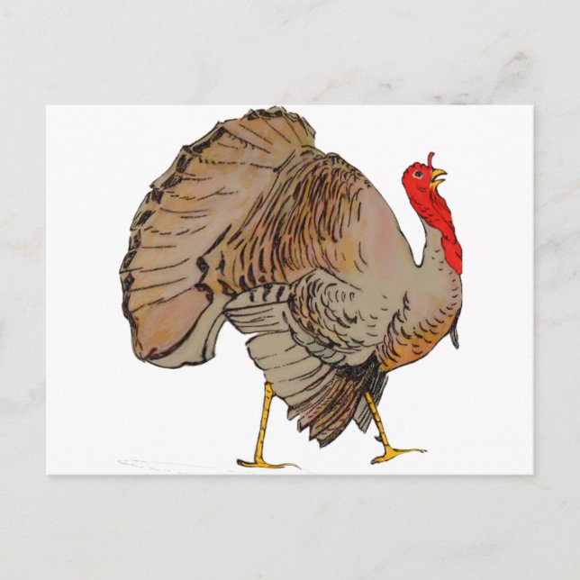 Full Colour Thanksgiving Turkey Holiday Postcard (Front)