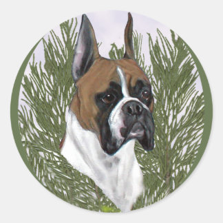 Full Face Boxer Head Study Classic Round Sticker