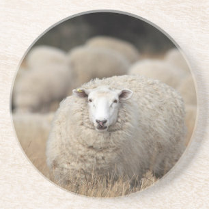 Full fleece sheep coaster