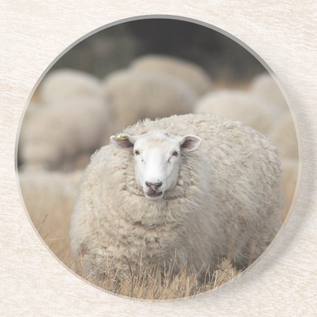 Full fleece sheep coaster (Front)
