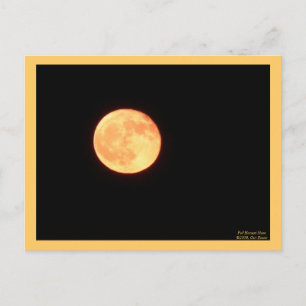 Full Harvest Moon Postcard
