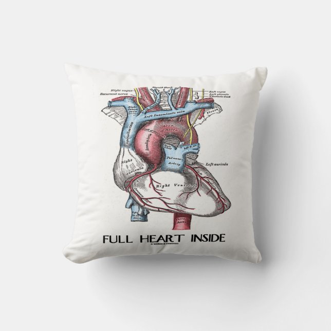Full Heart Inside (Anatomical Illustration) Cushion (Front)