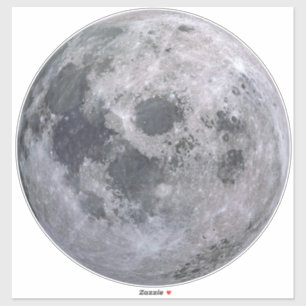 FULL MOON 14” Sq. Skin Sticker