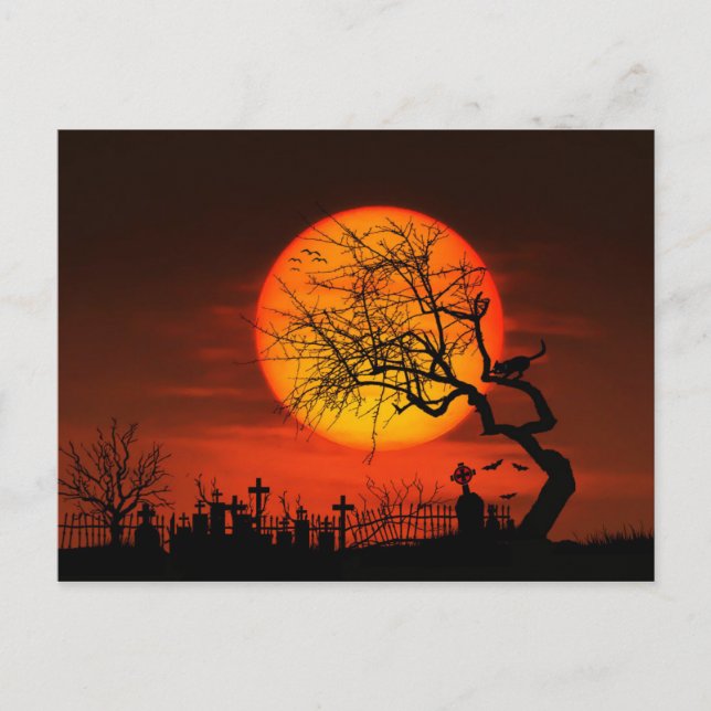 Full Moon and Cat Over Graveyard Postcard (Front)