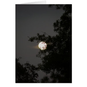 Full Moon Beauty