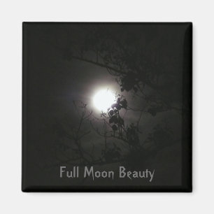 Full Moon Beauty Magnet