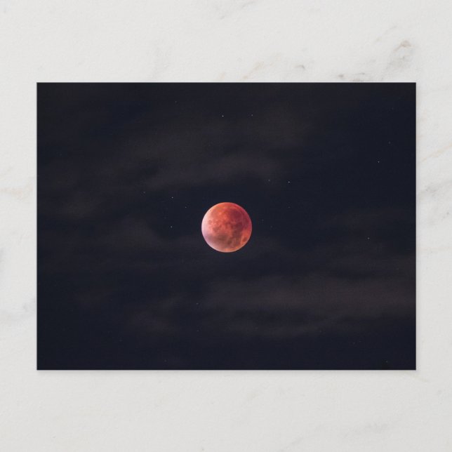 Full Moon, Blood Moon Postcard (Front)