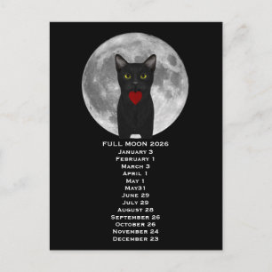 Full Moon  Cat 2026  Postcard