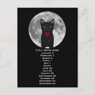 Full Moon  Cat 2026  Postcard