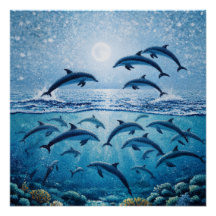 Full Moon Dolphins