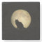 Full Moon Feline three