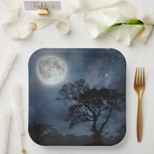 Full Moon in a Starry Sky Paper Plate