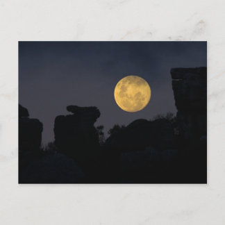 Full Moon in Wilderness, South Africa Postcard