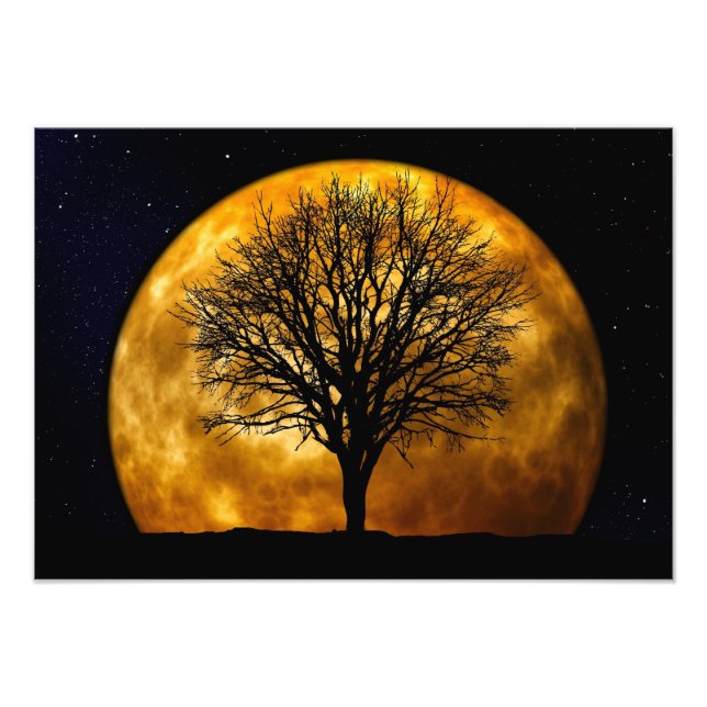 Full Moon Midnight Photo Print (Front)
