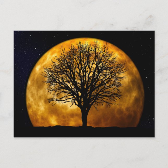 Full Moon Midnight Postcard (Front)