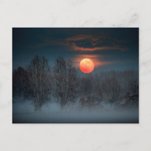Full Moon November in Scalenghe, Italy Postcard
