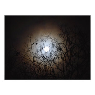 Full Moon Photograph