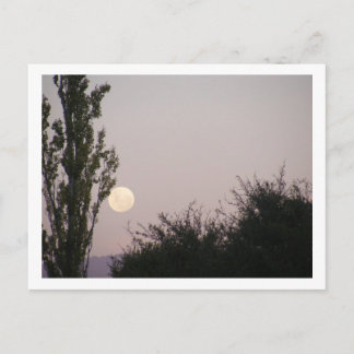 full moon postcard