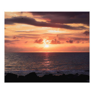 Full Moon Rising Queensland Australia Photo Print