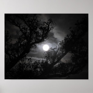 Full moon through the branches poster