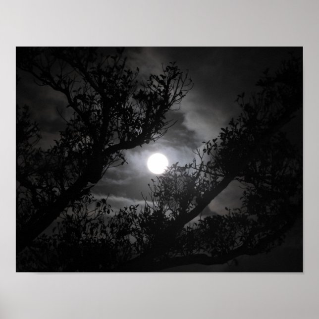 Full moon through the branches poster (Front)
