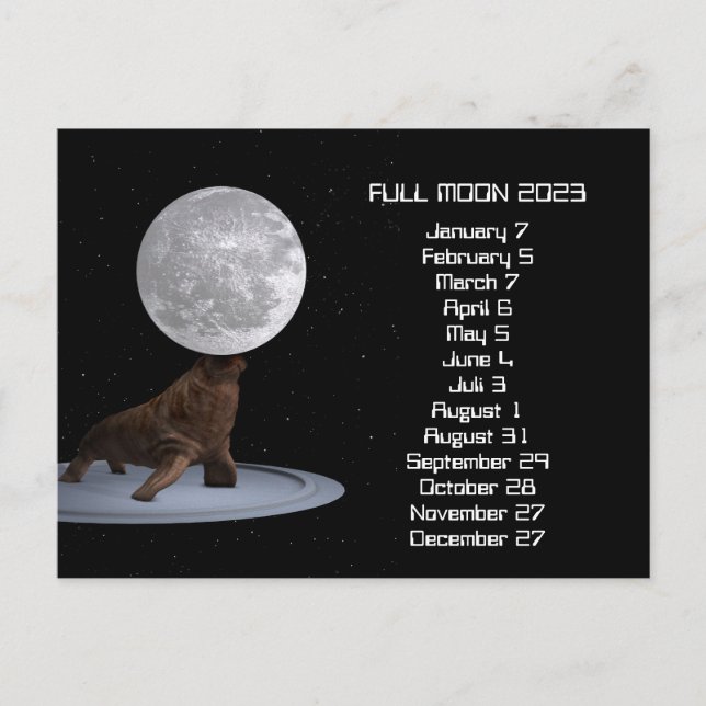 Full Moon Walrus Calendar 2023 Postcard (Front)