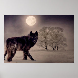 Full Moon Wolf. Poster