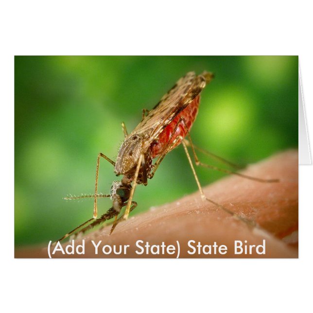 Full Mosquito - State Bird (Front Horizontal)