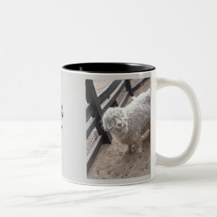 Full of wool Two-Tone coffee mug