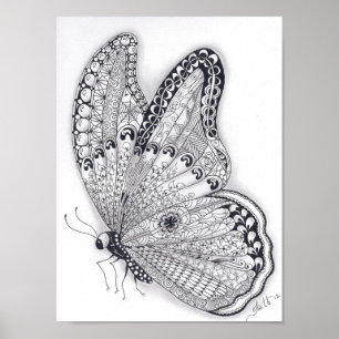 Full Size Butterfly Poster