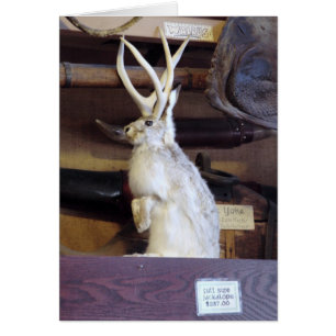 Full Size Jackalope $287.00