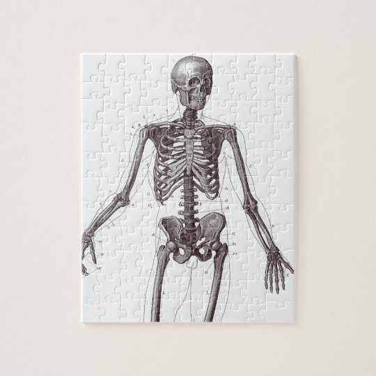 Full Skeleton Jigsaw Puzzle Uk