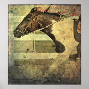 Full Speed, Pinto Pony Poster