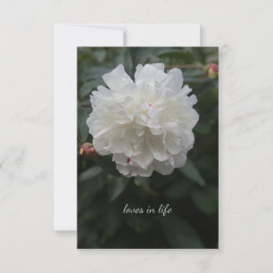 Full White Peony Card