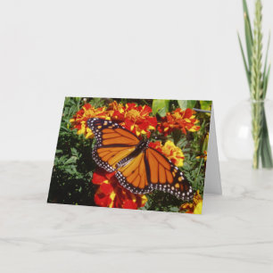 "Full Wingspan" Get Well Card