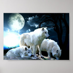 Full Wolf Moon Poster