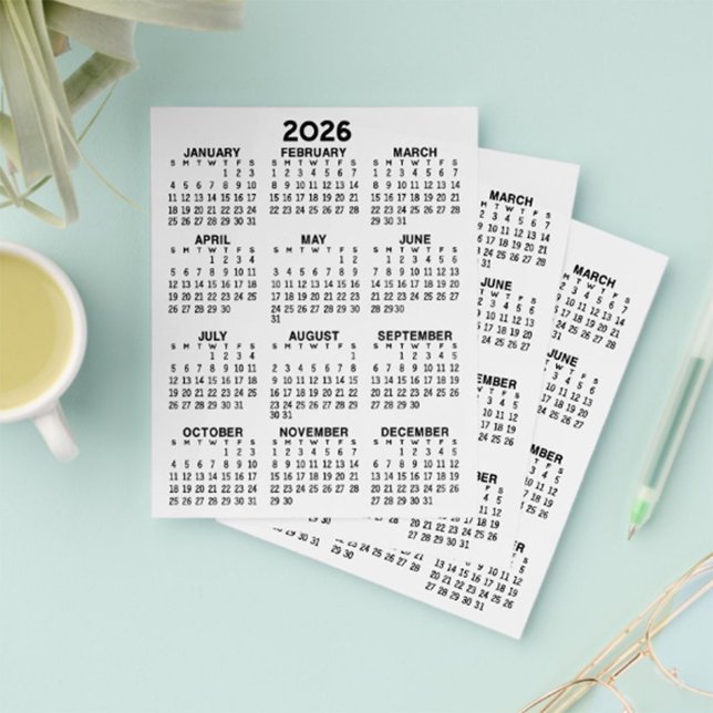 Full Year View Calendar - Basic Minimal Flyer (2026 Calendar)