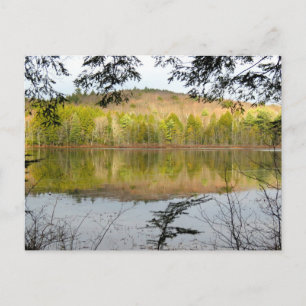 Fullam Pond Reflections Postcard